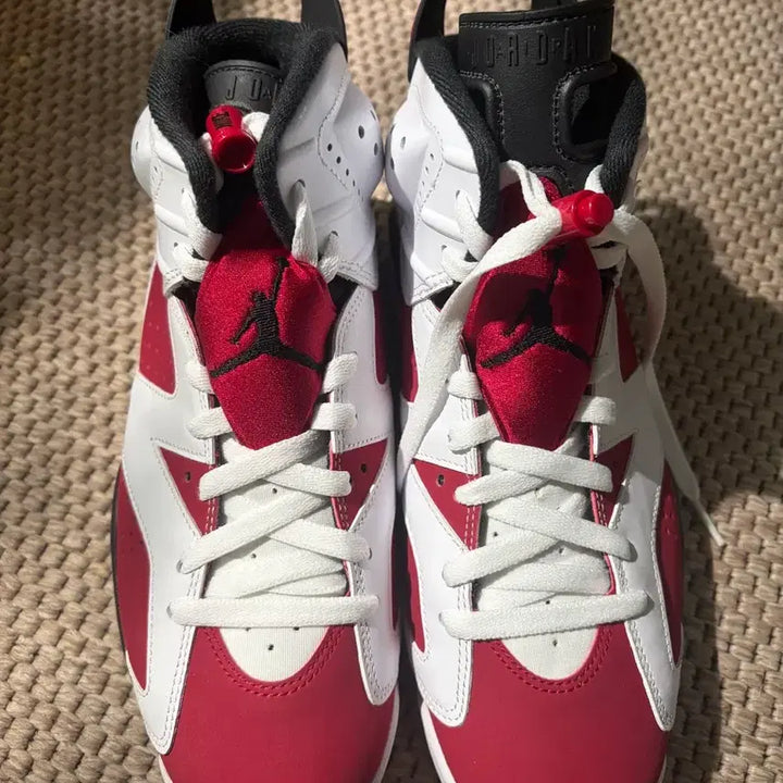 [BUNJANG] Nike Jordan 6 Retro Carmine Sneakers / 조던6 레트로 카마인 270