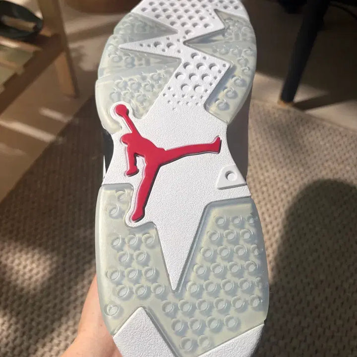 [BUNJANG] Nike Jordan 6 Retro Carmine Sneakers / 조던6 레트로 카마인 270