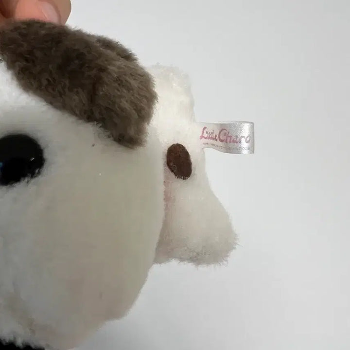[BUNJANG] Japanese Vintage Dog Plush Doll / 일본 빈티지 바둑 강아지 인형 리틀 차로