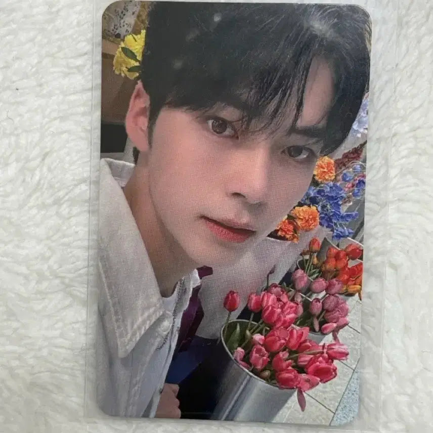 [BUNJANG] ZEROBASEONE Sung Hanbin Olive Young Photocard / 제로베이스원 제베원 성한빈 올리브영 포카