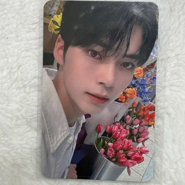 [BUNJANG] ZEROBASEONE Sung Hanbin Olive Young Photocard / 제로베이스원 제베원 성한빈 올리브영 포카