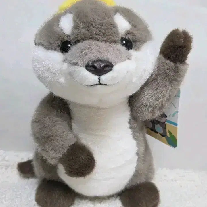 [SOLD OUT] 수달 인형 봉제인형 귀여운 인형