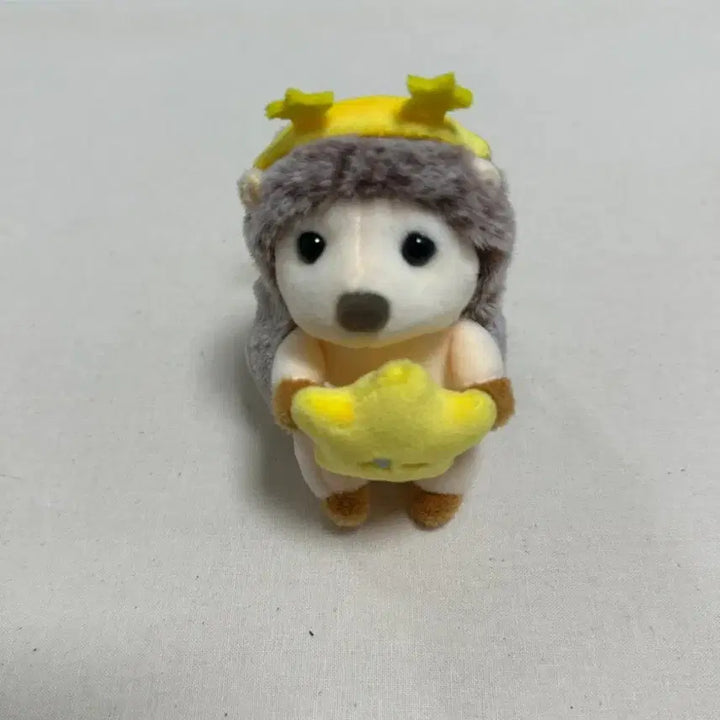 [BUNJANG] Capybara, Kitty, Cat, Hedgehog Plush Keyrings / 카피바라 동전지갑, 키티,고양이,별고슴도치 인형 키링