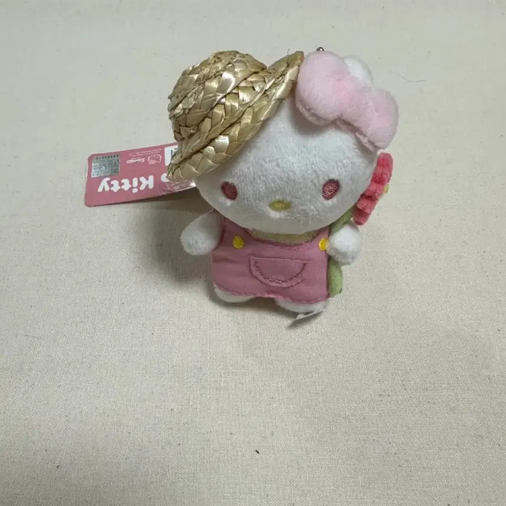 [BUNJANG] Capybara, Kitty, Cat, Hedgehog Plush Keyrings / 카피바라 동전지갑, 키티,고양이,별고슴도치 인형 키링