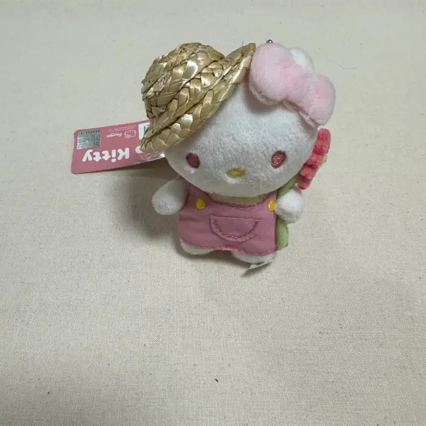 [BUNJANG] Capybara, Kitty, Cat, Hedgehog Plush Keyrings / 카피바라 동전지갑, 키티,고양이,별고슴도치 인형 키링