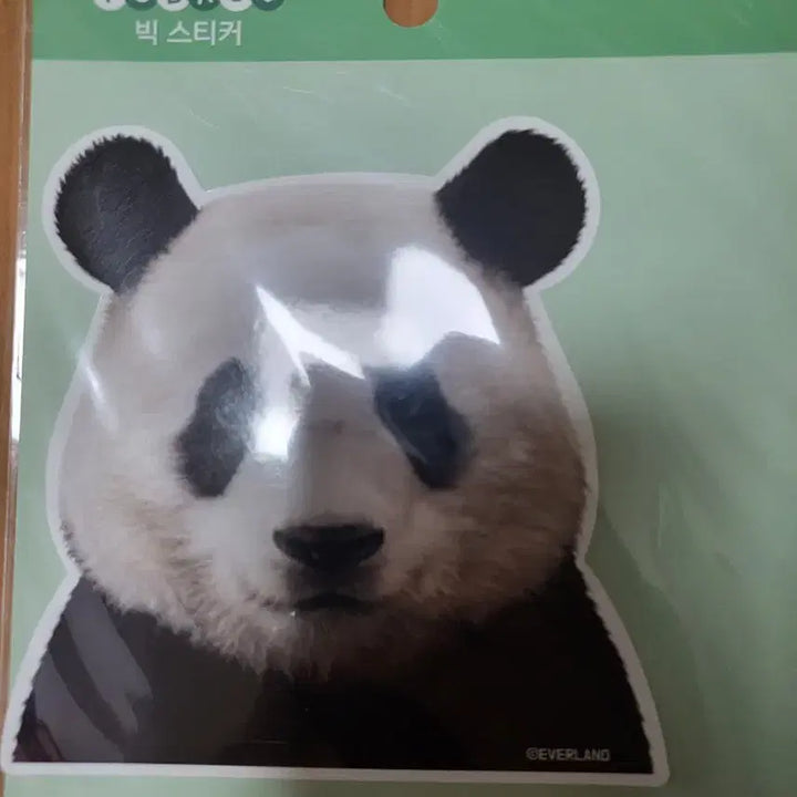 [SOLD OUT] 푸바오 포토카드 10종 +스티커