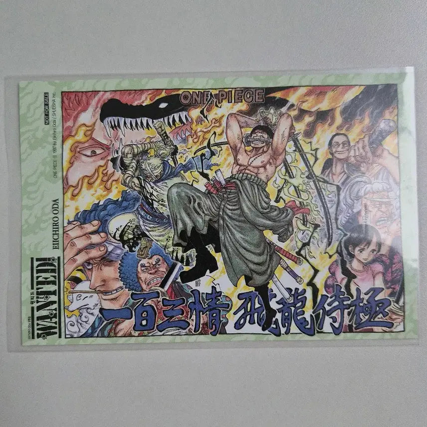 [BUNJANG] One Piece Wanted Initial Edition Postcard / 원피스 원티드 초판엽서