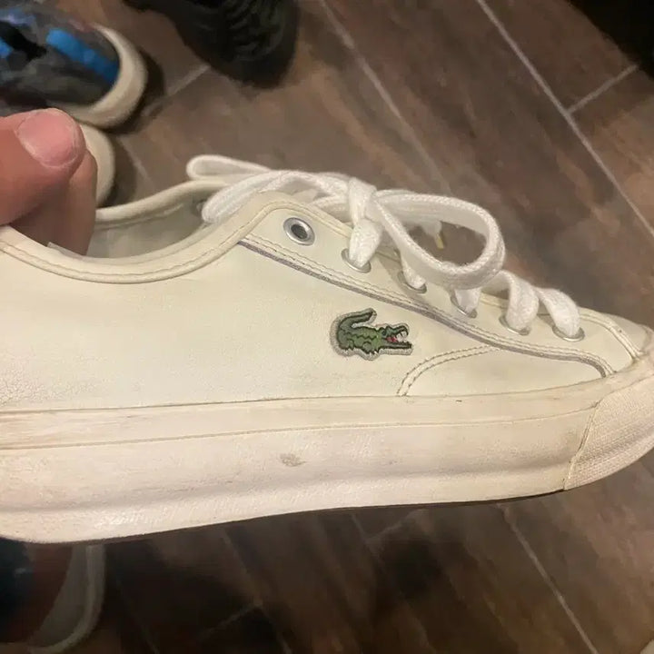 [BUNJANG] Lacoste White Sneakers UK5 / 라코스테 흰색 스니커즈 uk5 240