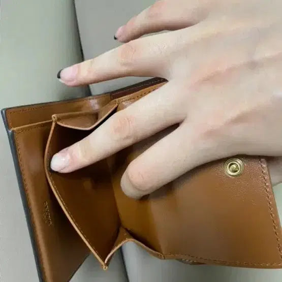 [BUNJANG] Celine Triomphe Small Wallet / 셀린느 3단 지갑