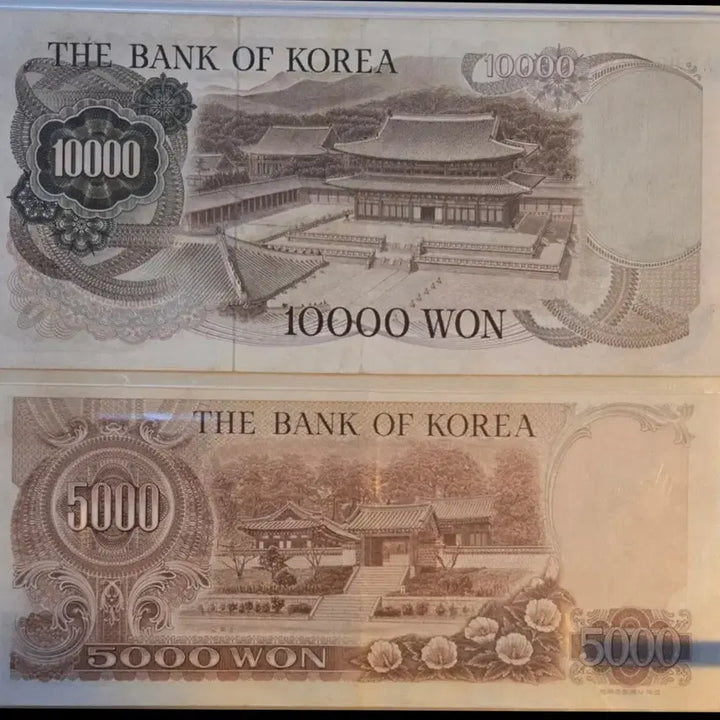[BUNJANG] Unused Korean Won Banknote / 1차 만원 2차 오천원 빠른번호 00 포인트 준미사용