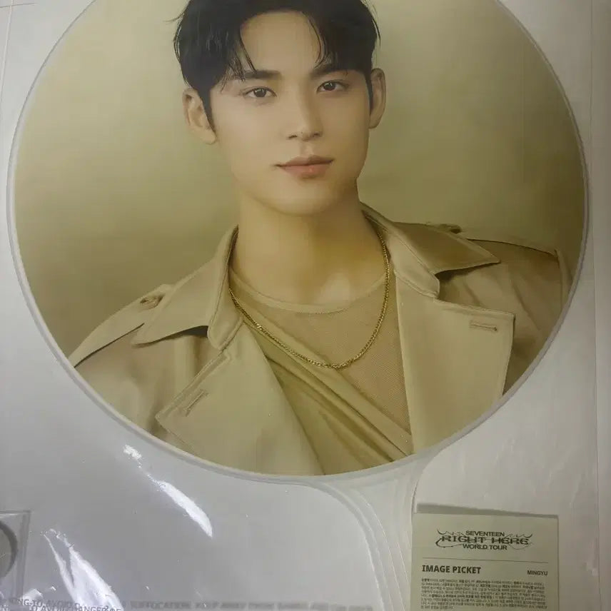 [BUNJANG] Seventeen Mingyu Official Uchiwa / 급처) 민규 우치와