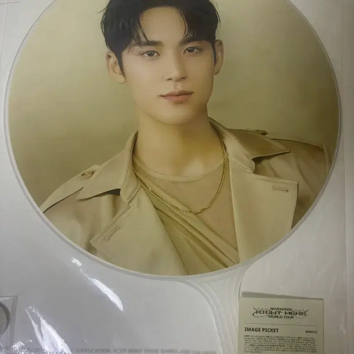 [BUNJANG] Seventeen Mingyu Official Uchiwa / 급처) 민규 우치와
