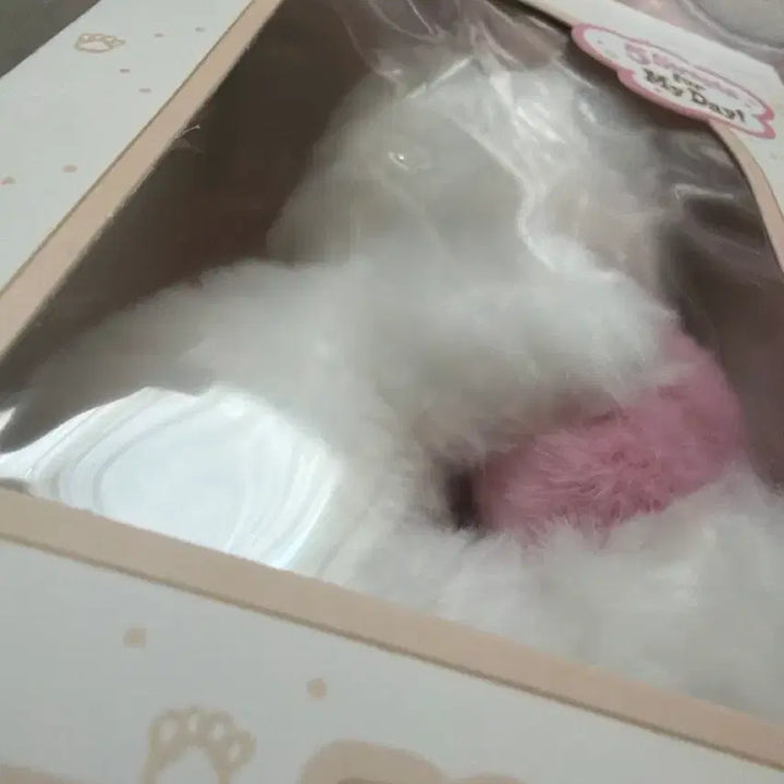 [SOLD OUT] 데이식스 자이언트 데니멀즈 자멀 필끼 일괄