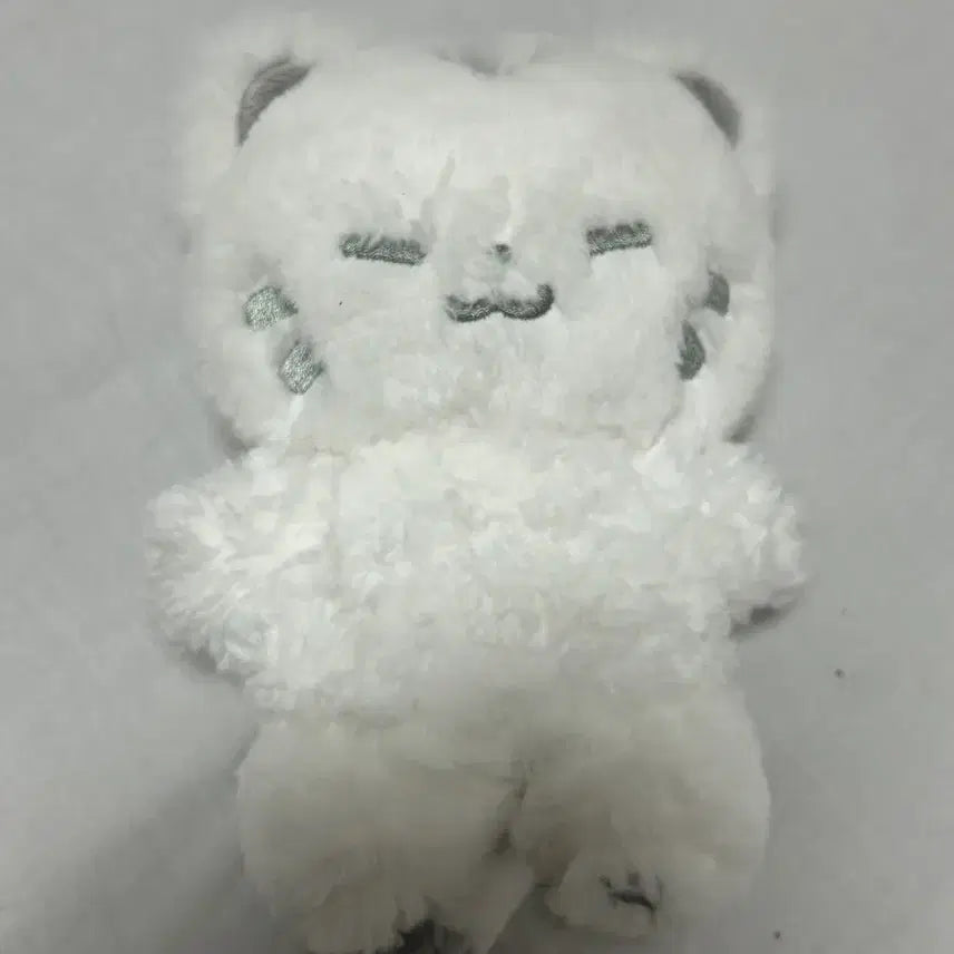 [BUNJANG] Hoshi 20cm Doll + Photocard / 20센치 호찌 인형 호시포카 호시