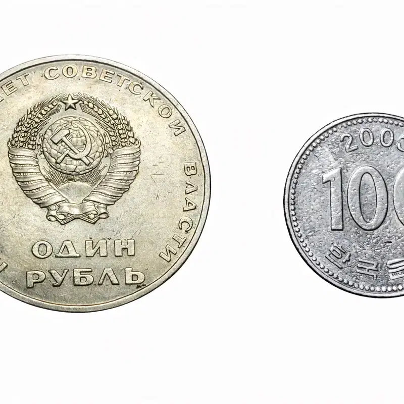 [BUNJANG] Soviet Union USSR Lenin Commemorative Coin J1 / 소련 CCCP 레닌 기념 주화 J1