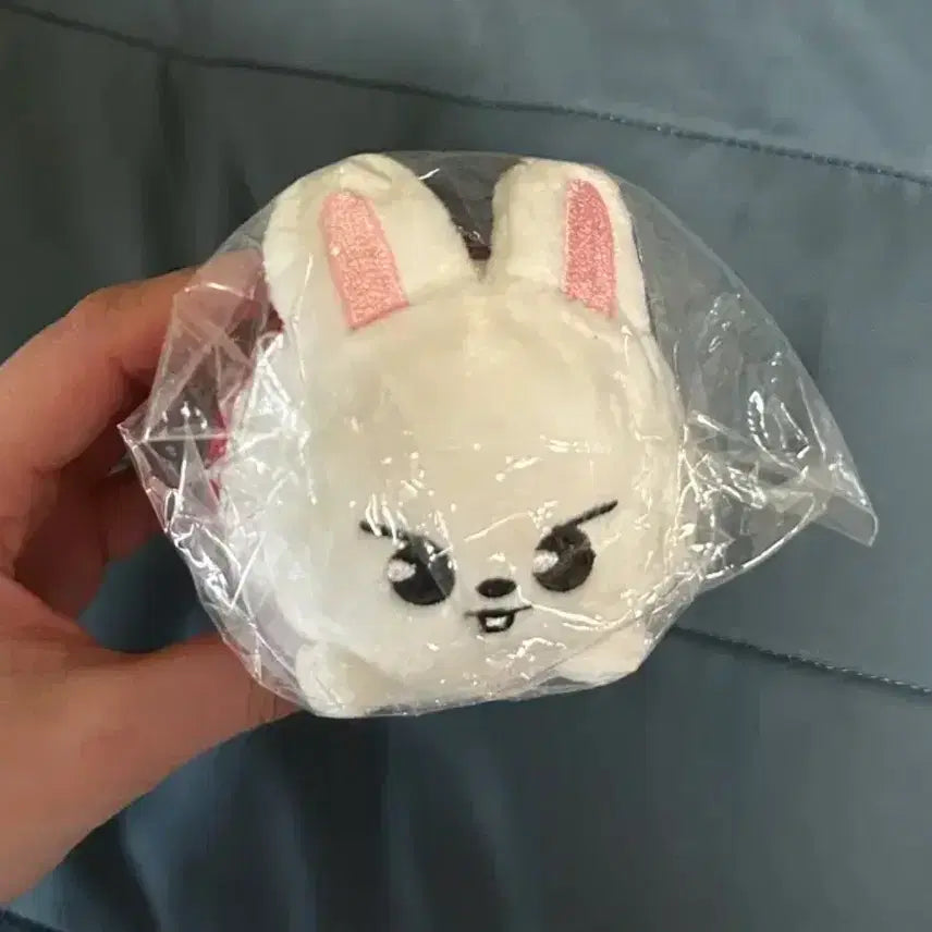 [BUNJANG] Stray Kids Lee Know Leebit Japan Victory Pop-Up Mascot Bag Charm / 미개봉) 스트레이키즈 스키주 리노 리빗 일본 백참 빅토리 팝업