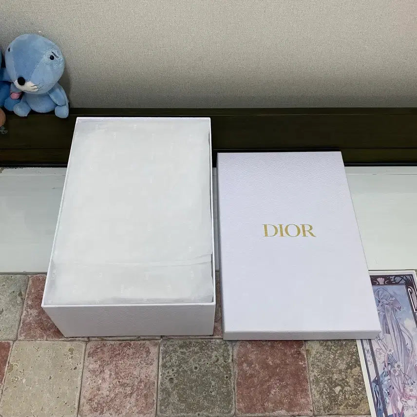 [BUNJANG] Dior Shoe Box Set / 디올 신발 박스(20.5x30.5x11)+더스트+속지