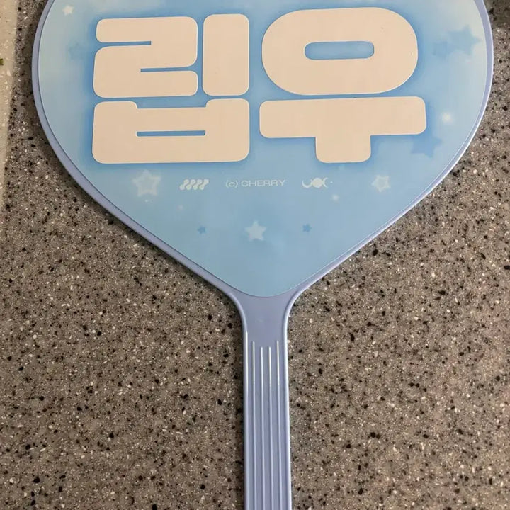[BUNJANG] Choi Ripwoo Uchiwa Fan / 최립우 우치와 판매
