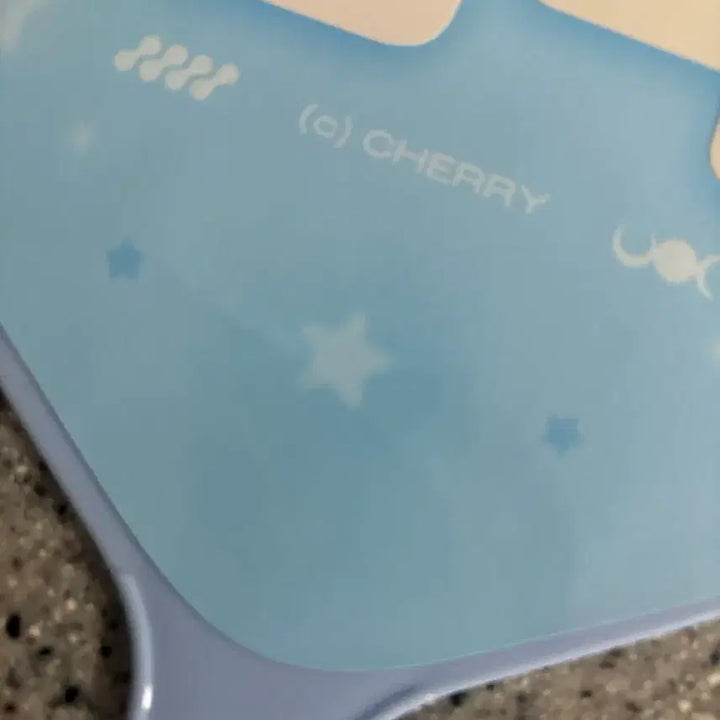 [BUNJANG] Choi Ripwoo Uchiwa Fan / 최립우 우치와 판매