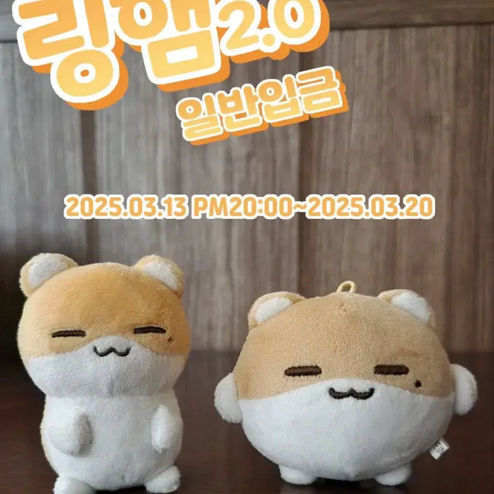 [BUNJANG] BOYNEXTDOOR Ringham Riwoo Unofficial Doll POB / 보넥도 링햄 리우 비공굿 인형 양도 보이넥스트도어 특전