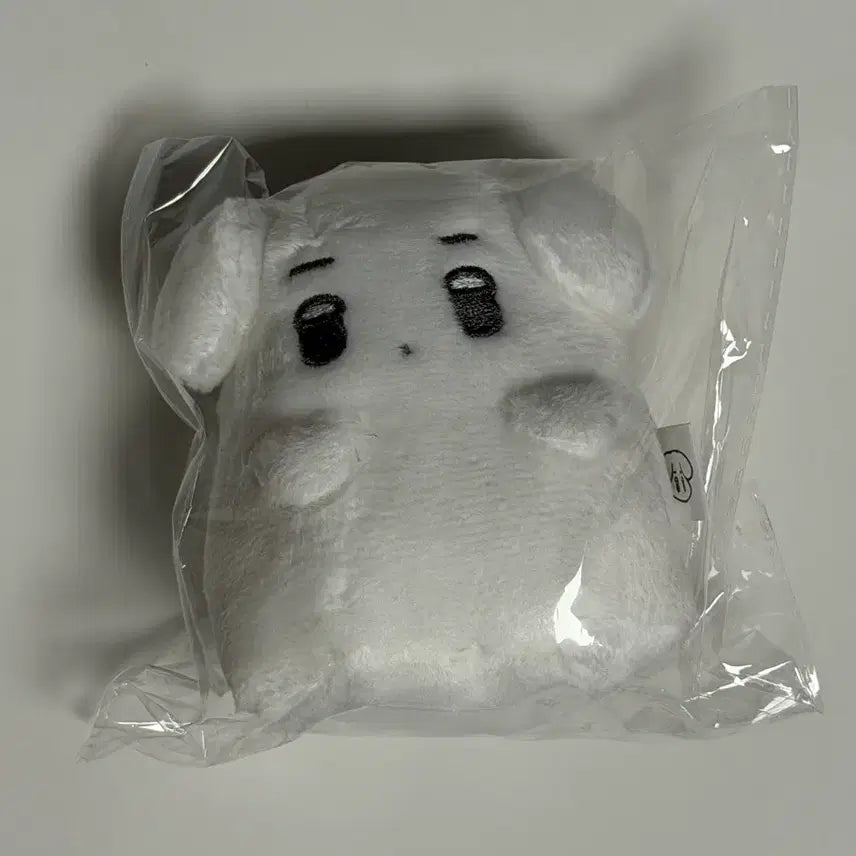 [BUNJANG] Ghost Detector New / 유령직직이