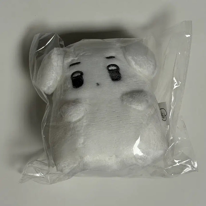 [BUNJANG] Ghost Detector New / 유령직직이