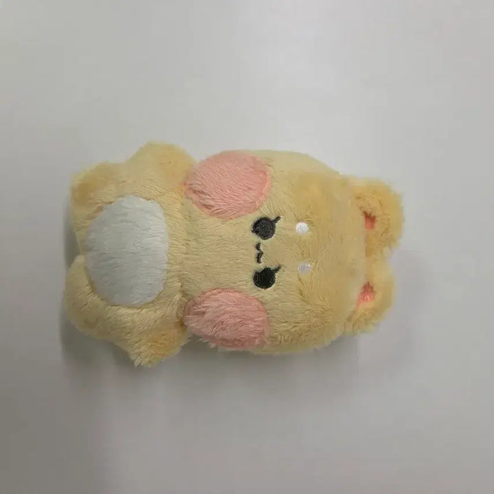 [BUNJANG] Ray Oxuny Doll / 레이 옥수니 인형 팔아요