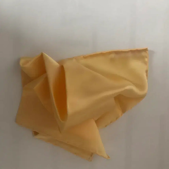 [BUNJANG] Brioni Silk Handkerchief / 브리오니 실크 행커치프