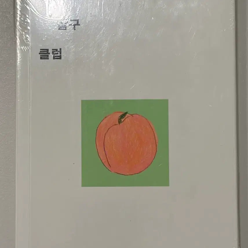 [BUNJANG] Jamong Salgu Club Unsealed CD + First Edition Book / 자몽살구클럽 미개봉 CD + 미개봉 초판 책