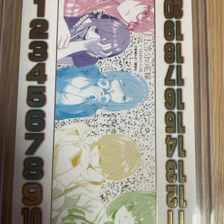 [BUNJANG] The Quintessential Quintuplets Card Set / 오등분의 신부 카드 판매