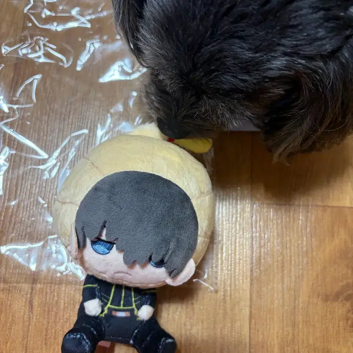 [BUNJANG] Gintama Hijikata Plush Sitting Doll / 은혼 오스와리 누이 앉은 봉제인형 히지카타