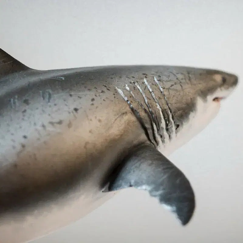 [BUNJANG] JA Studio Deep Blue Great White Shark Figurine / 딥블루 백상아리 피규어 / ja스튜디오 35비율 레진 상어 피규어