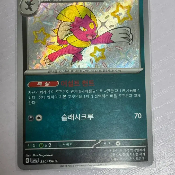 [BUNJANG] Pokemon Sneasel Shiny Card / [귀여운 포켓몬 카드] 포푸니라 샤트 이로치