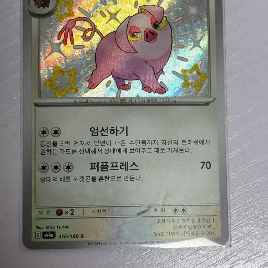 [BUNJANG] Pokemon Purrfect Shiny Card / [귀여운 포켓몬 카드] 퍼퓨돈 샤트 이로치