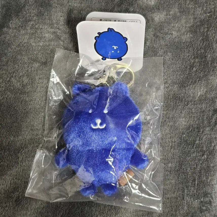 [BUNJANG] Color Gom Royal Blue Mascot Doll / 컬러곰 로얄블루 마스코트 인형 나가노마켓