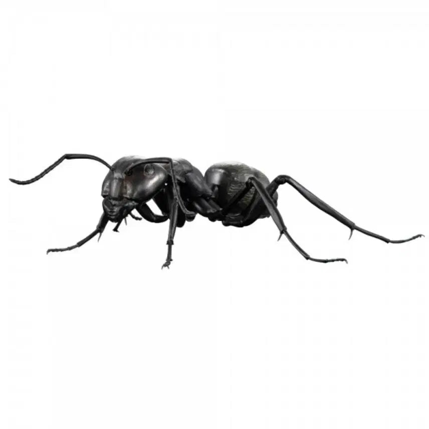 [BUNJANG] Bandai Japanese Ant Set / 반다이 일본 홍가슴개미 일본왕개미