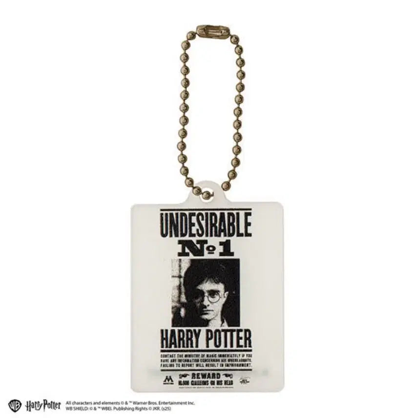 [BUNJANG] Harry Potter Luminous Acrylic Charm Collection Keychain Gacha Sirius Bellatrix / 해리포터 야광 아크릴 참 컬렉션 키링 가챠 시리우스 벨라트릭스