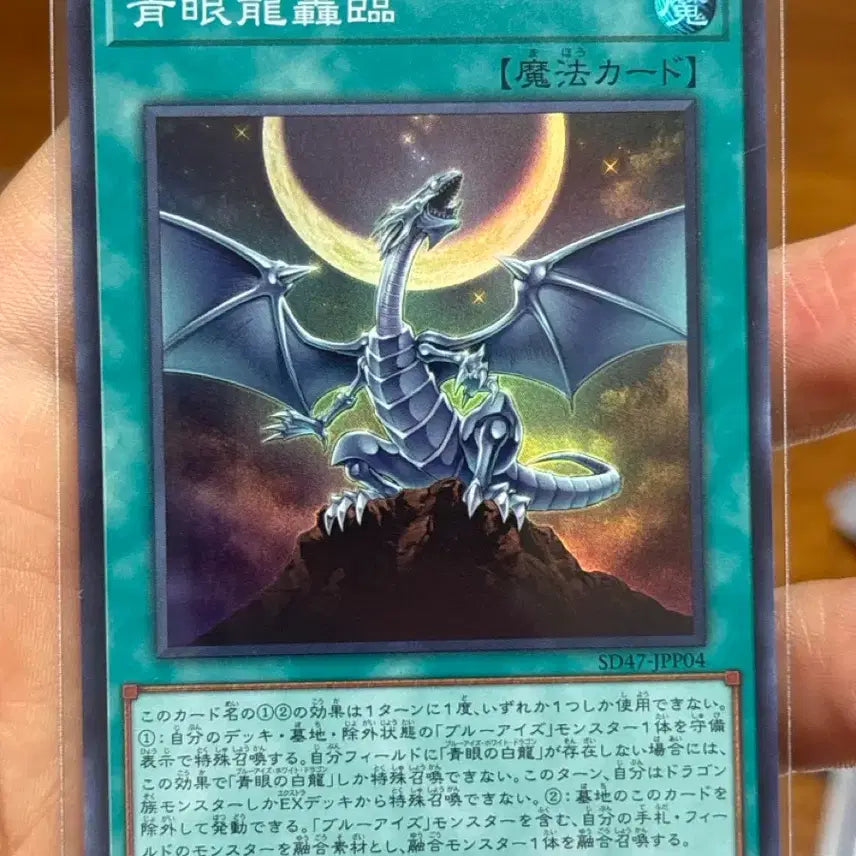 [BUNJANG] Yu-Gi-Oh! Japanese Blue-Eyes White Dragon SD47 / 유희왕 일판 청안룡굉림 슈레 SD47