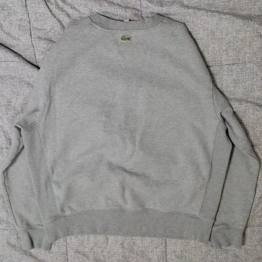 [SOLD OUT] (남녀공용) 라코스테 골프 럭셔리 빅로고 맨투맨 105-110