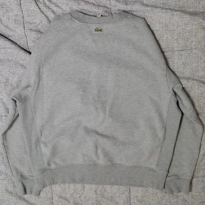 [SOLD OUT] (남녀공용) 라코스테 골프 럭셔리 빅로고 맨투맨 105-110