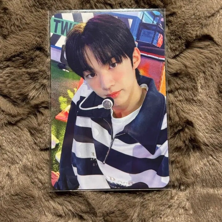 [BUNJANG] TWS Dohoon Lucky Draw Photocard / 투어스 있잖아 오늘부터 팝업 럭드 도훈 포카