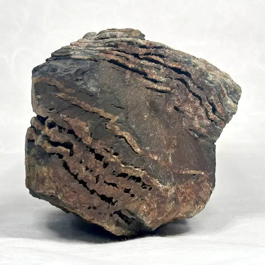 [BUNJANG] Namhangang River Chocolate Stone Landscape Stone / 초코석 절벽경 토막석 변화석 수석