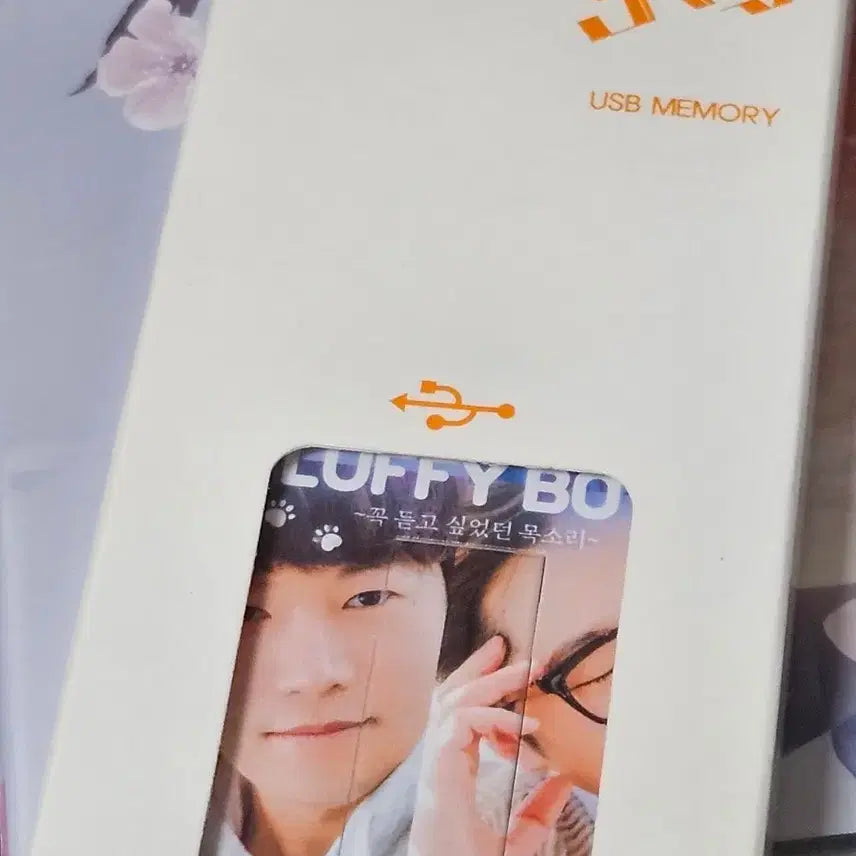 [BUNJANG] Magazine Voice Fluffy Boyz USB / 매거진보이스 플러피보이즈