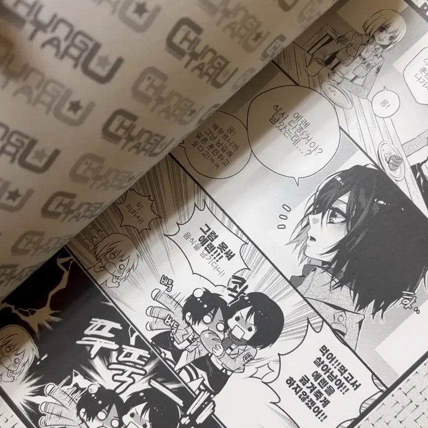 [BUNJANG] Attack on Titan Doujinshi Mikasa Eren Levi / 진격거 진격의 거인 회지 미카세 에렌 리바이