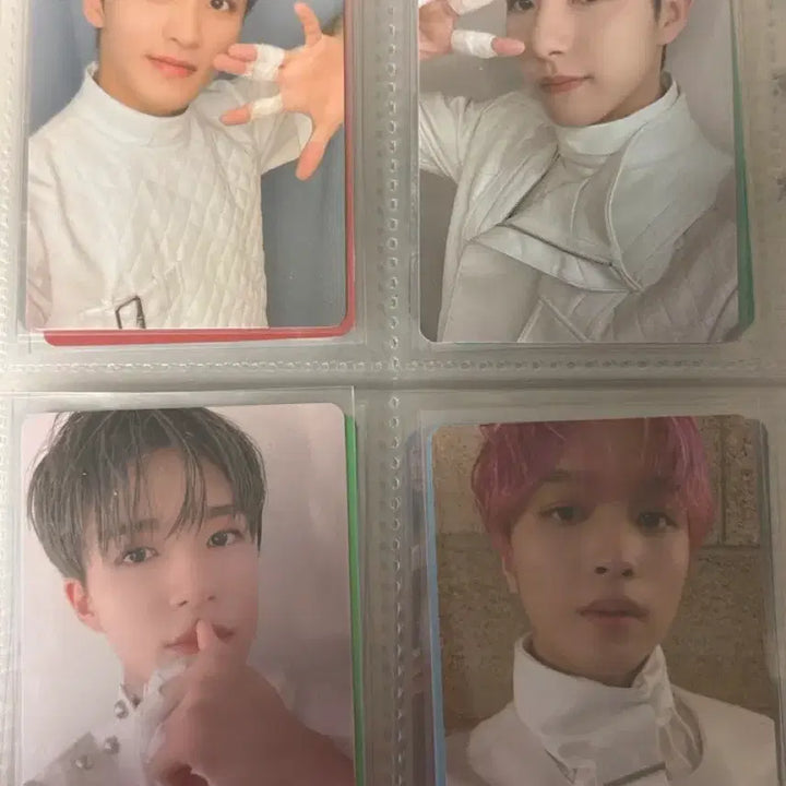 [BUNJANG] Dream Seed 2023 Photocard / 2023 드림시드 포카 판매