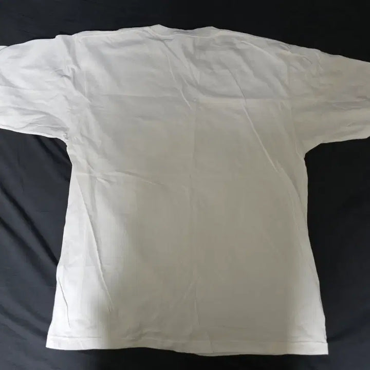 [BUNJANG] Chimshowman Pyongyang Noodles T-shirt 2XL / 침착맨 평양냉면 티셔츠 2XL