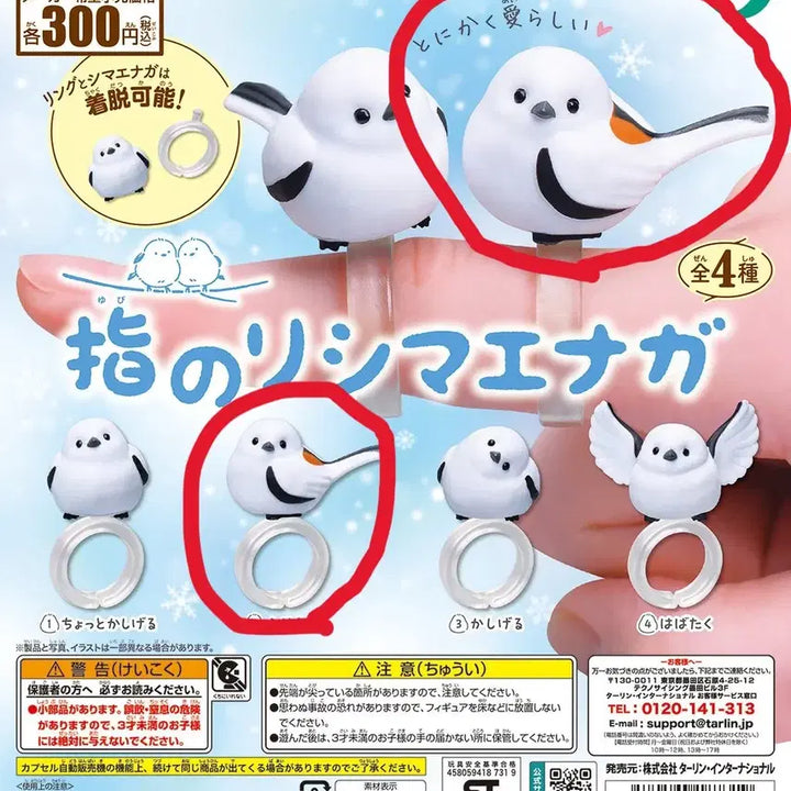 [BUNJANG] Ubinori Shimaenaga Bird Ring Gacha / 유비노리 시마에나가 오목눈이 뱁새 반지 가챠 뽑기