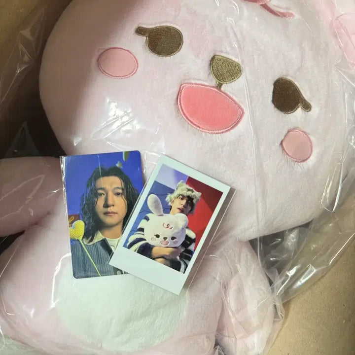 [BUNJANG] DAY6 Jae Giant Petti Merch Polaroid Included Sealed Item / 자이언트 쁘띠멀즈 필 폴라 5만포카 포함 미개봉으로 판매합니다.