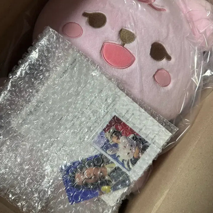 [BUNJANG] DAY6 Jae Giant Petti Merch Polaroid Included Sealed Item / 자이언트 쁘띠멀즈 필 폴라 5만포카 포함 미개봉으로 판매합니다.