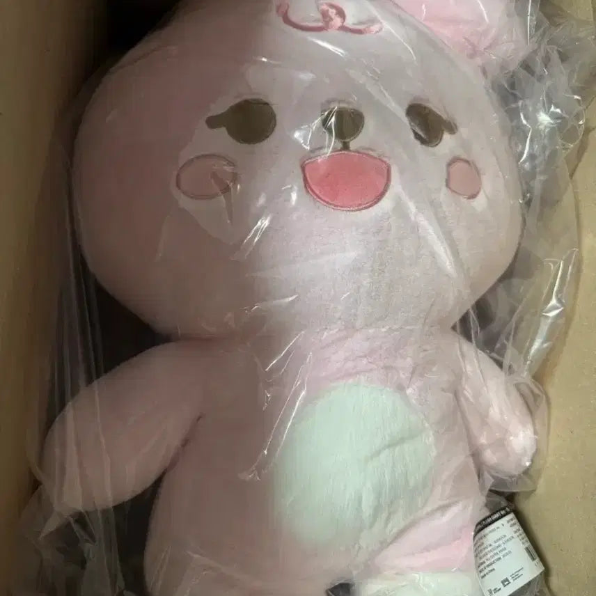 [BUNJANG] DAY6 Jae Giant Petti Merch Polaroid Included Sealed Item / 자이언트 쁘띠멀즈 필 폴라 5만포카 포함 미개봉으로 판매합니다.
